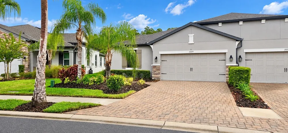 19379 HAWK VALLEY DRIVE Tampa, FL 33647