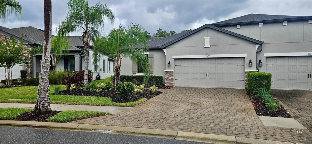 19379 HAWK VALLEY DRIVE Tampa, FL 33647