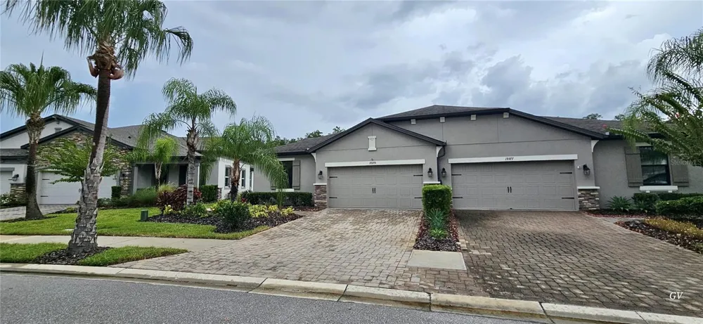 19379 HAWK VALLEY DRIVE Tampa, FL 33647