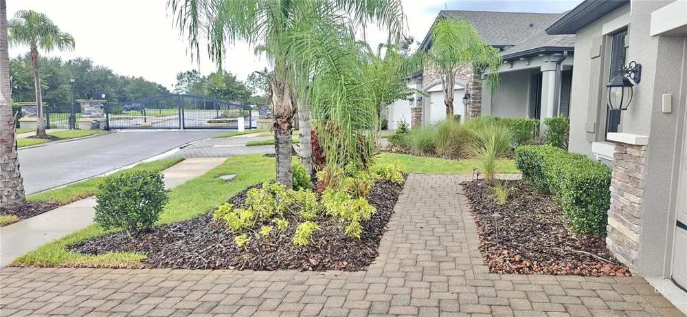 19379 HAWK VALLEY DRIVE Tampa, FL 33647