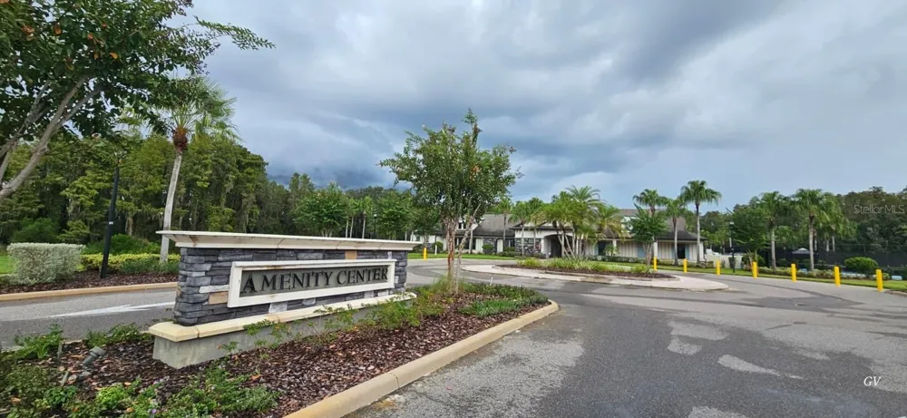 19379 HAWK VALLEY DRIVE Tampa, FL 33647