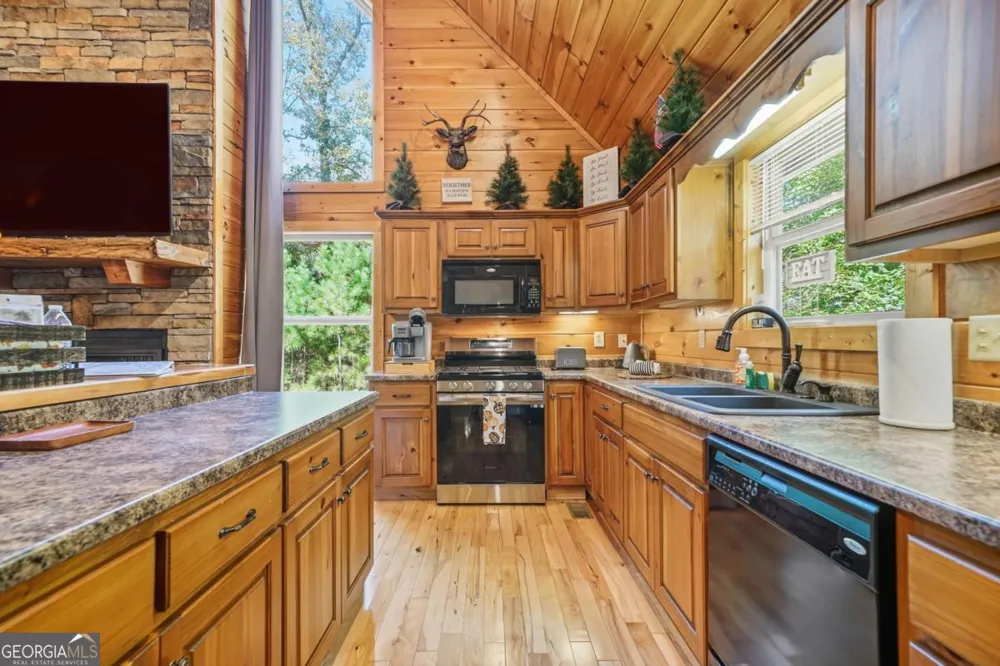 441 Carlisle DR Ellijay, GA 30540