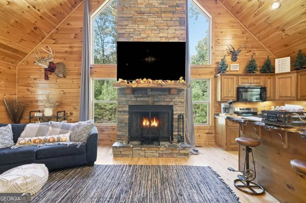 441 Carlisle DR Ellijay, GA 30540
