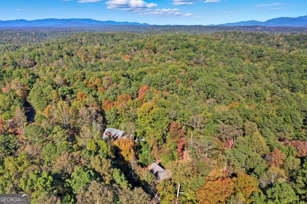 441 Carlisle DR Ellijay, GA 30540