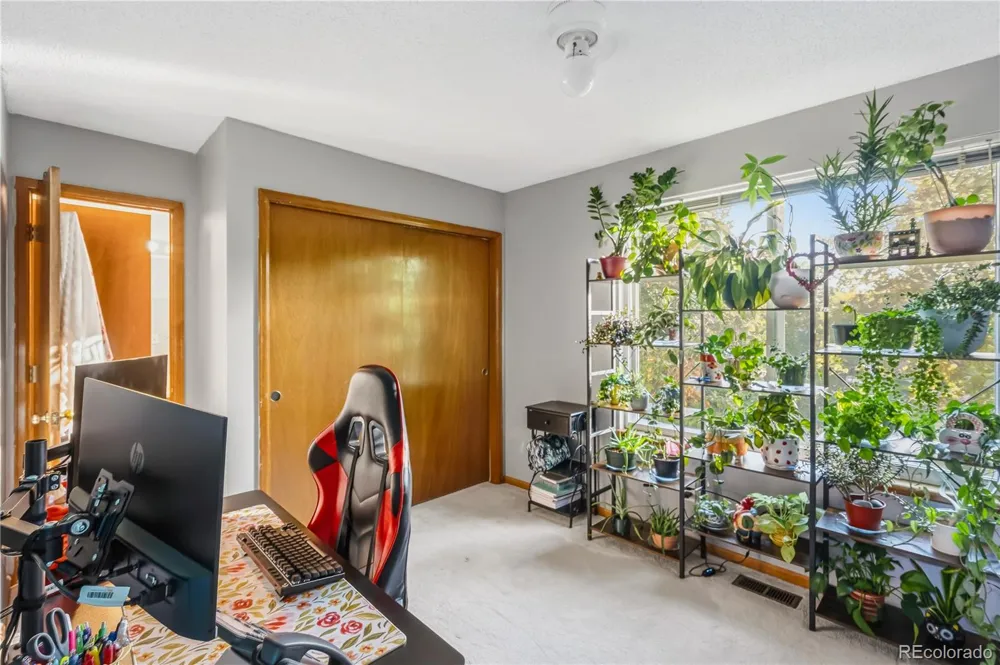 4316 Liverpool Street Denver, CO 80249