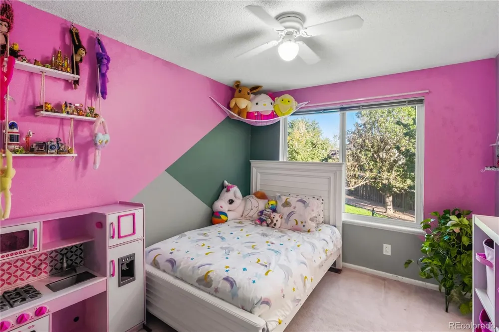 4316 Liverpool Street Denver, CO 80249