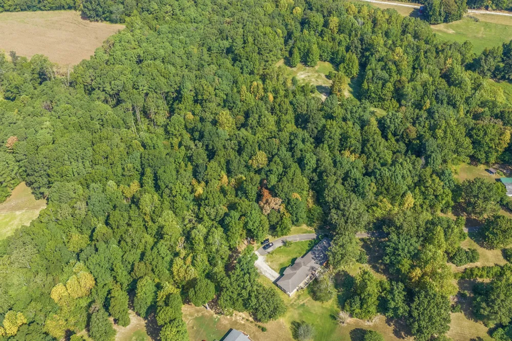 221 Dickson Ln Parsons, TN 38363