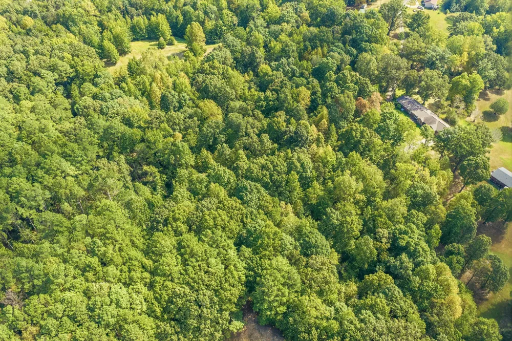 221 Dickson Ln Parsons, TN 38363