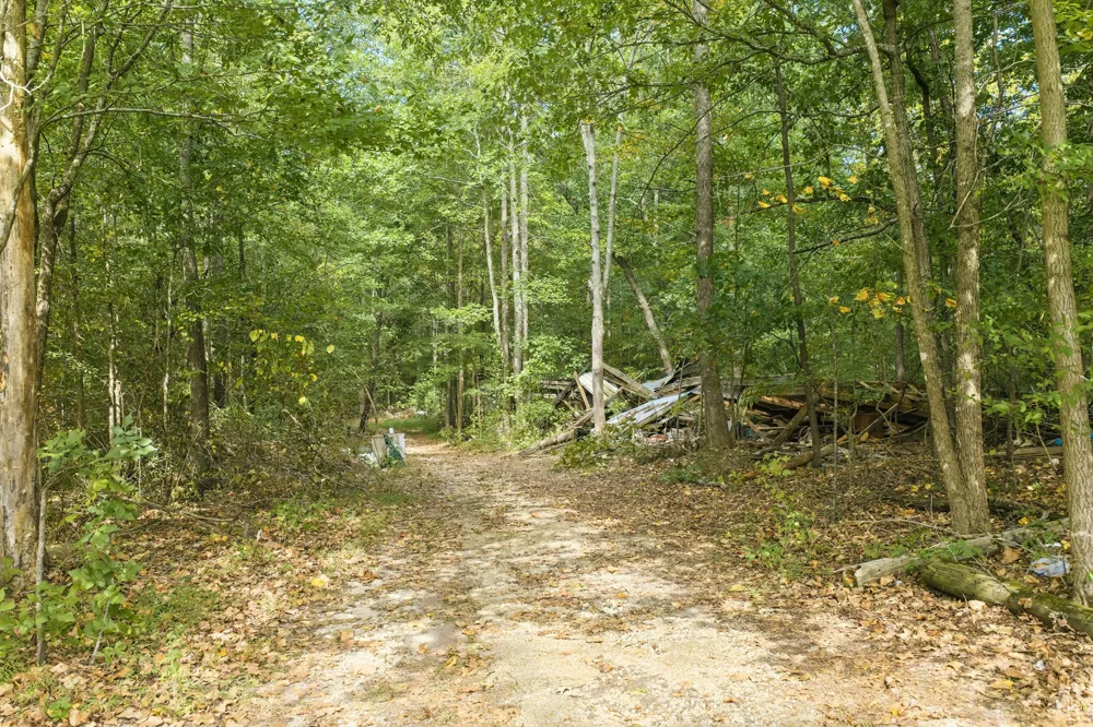 221 Dickson Ln Parsons, TN 38363
