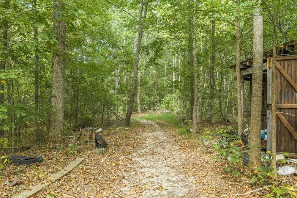 221 Dickson Ln Parsons, TN 38363