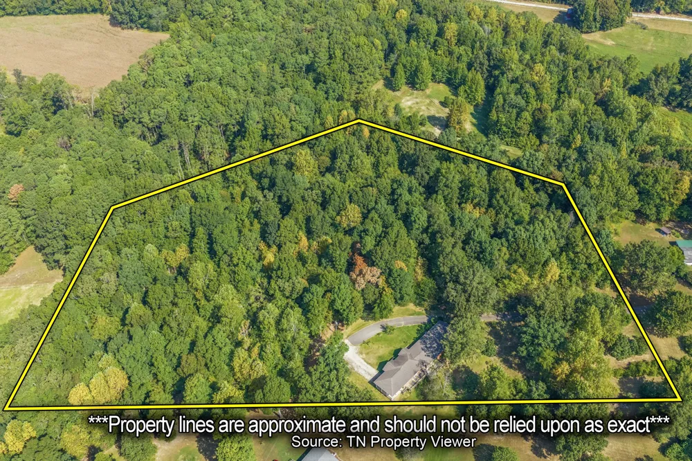 221 Dickson Ln Parsons, TN 38363