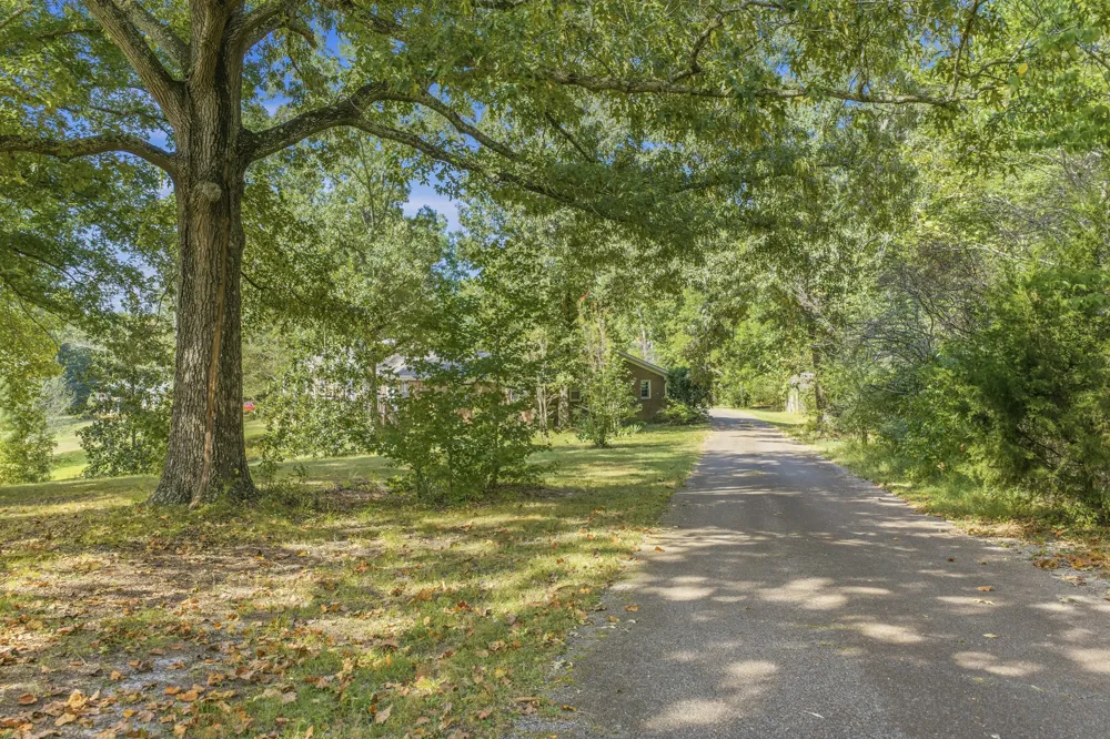 221 Dickson Ln Parsons, TN 38363