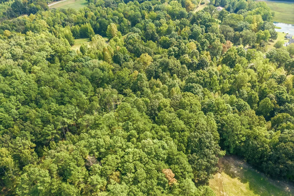 221 Dickson Ln Parsons, TN 38363