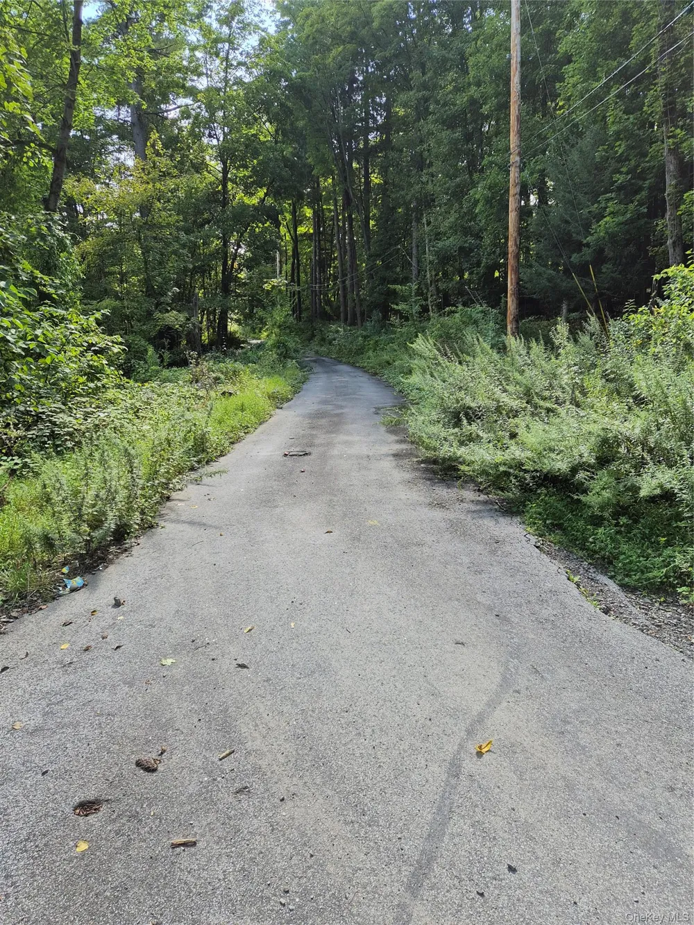 10 Cedar Street Staatsburg, NY 12580
