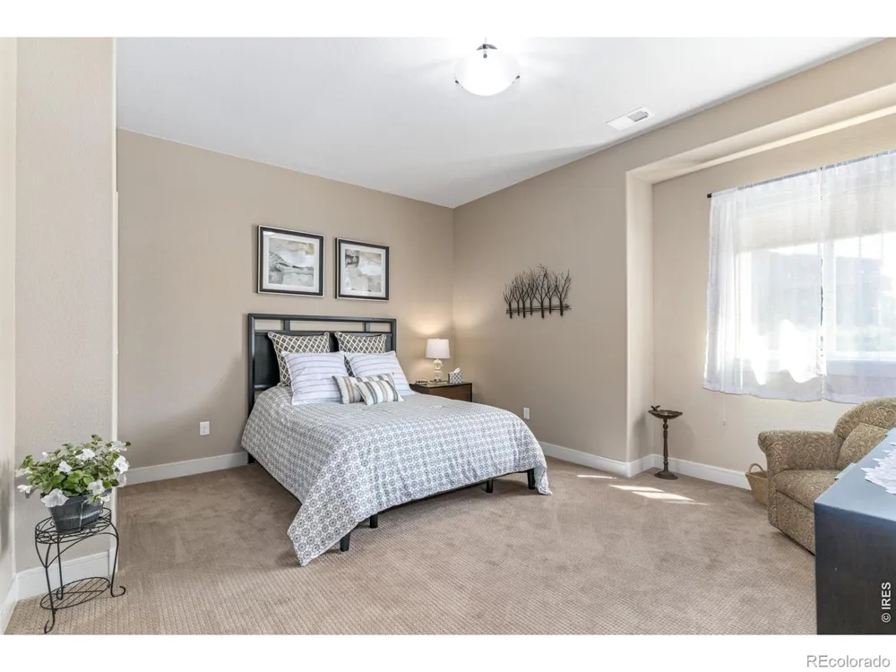 6923 Winterpeak Court Timnath, CO 80547