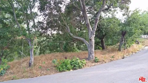 SUMMIT ROAD