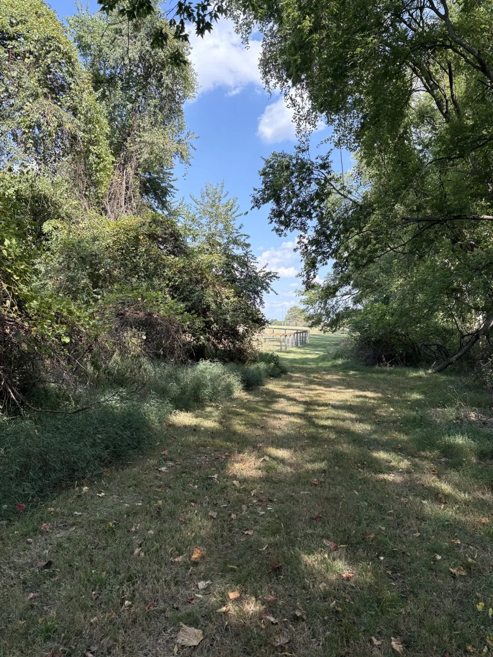 110 Akers Trl Gallatin, TN 37066