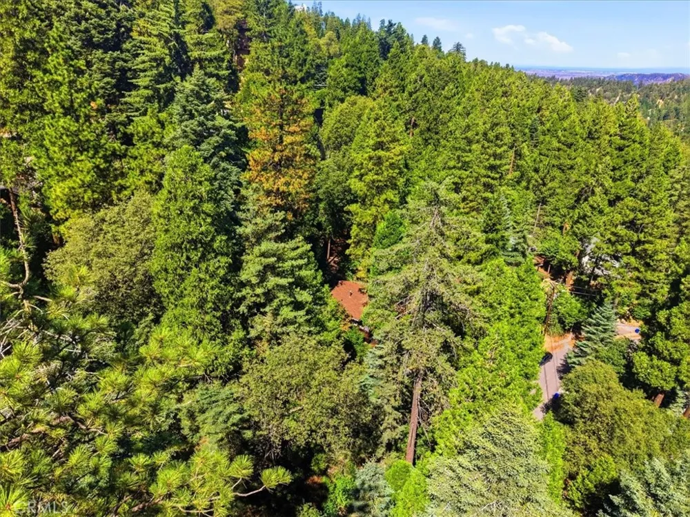 1044 Lausanne Crestline, CA 92325