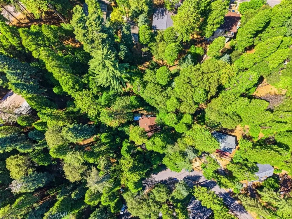 1044 Lausanne Crestline, CA 92325