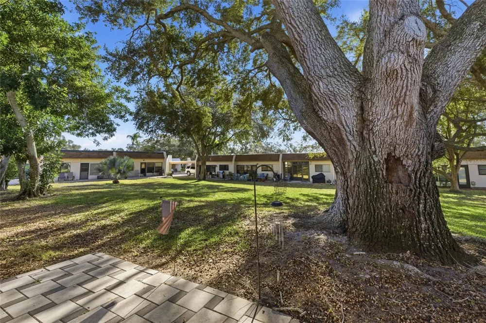 2935 FEATHER DRIVE #65-D Clearwater, FL 33759
