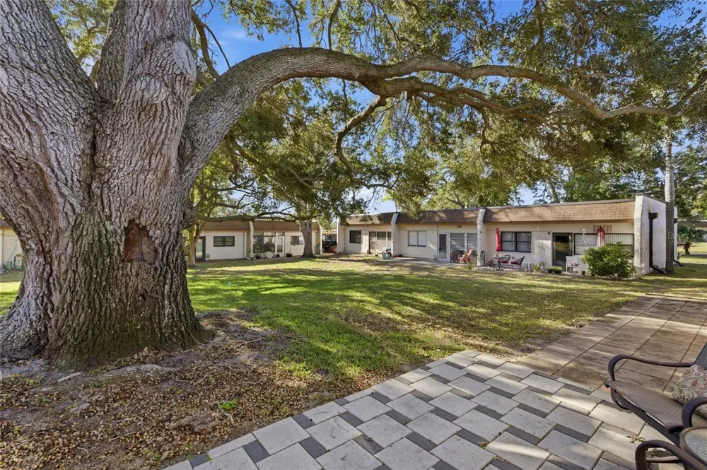 2935 FEATHER DRIVE #65-D Clearwater, FL 33759