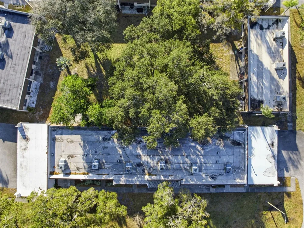 2935 FEATHER DRIVE #65-D Clearwater, FL 33759