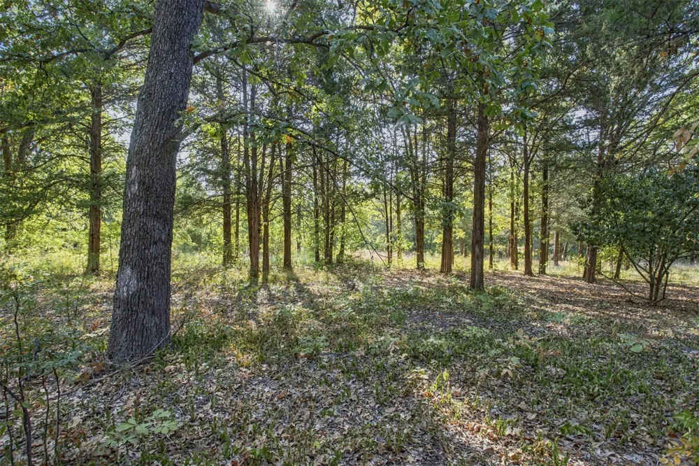 113 Vanzandt Mead, OK 73449