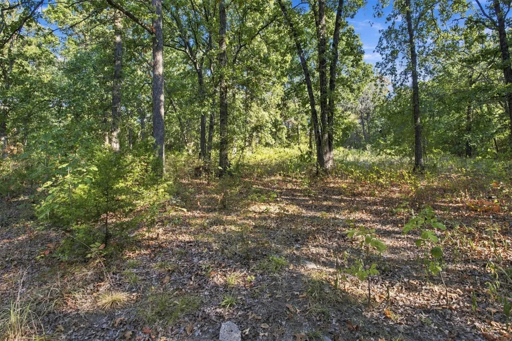 113 Vanzandt Mead, OK 73449