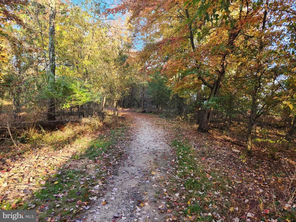 1305 MCHUGH Ambler, PA 19002