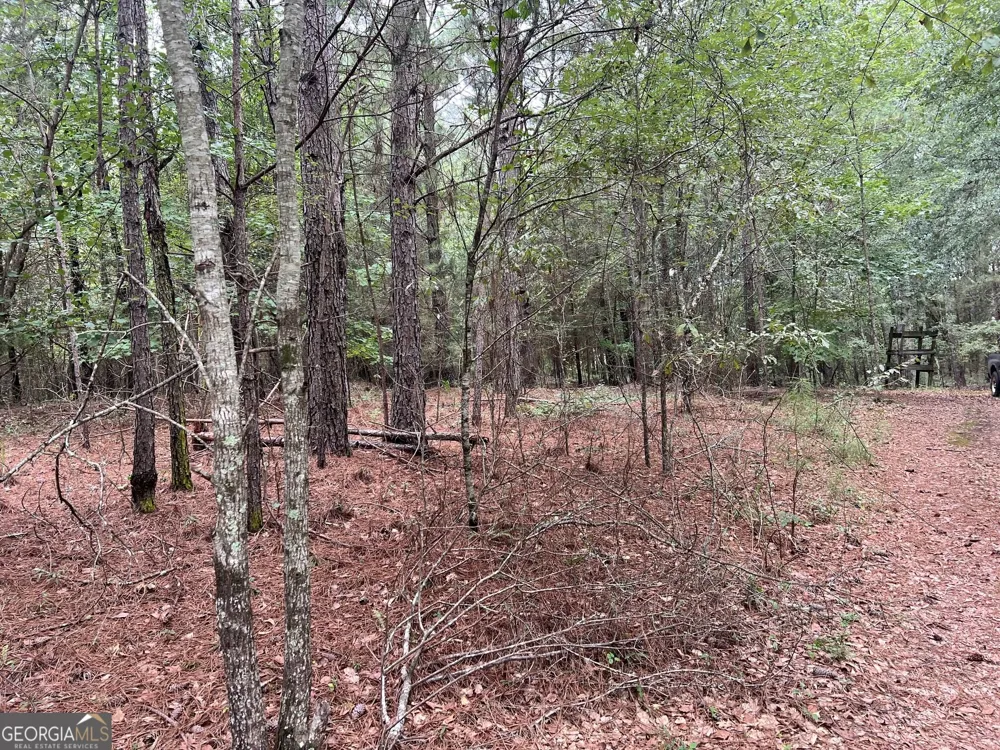 1383 Sims RD SE Winder, GA 30680