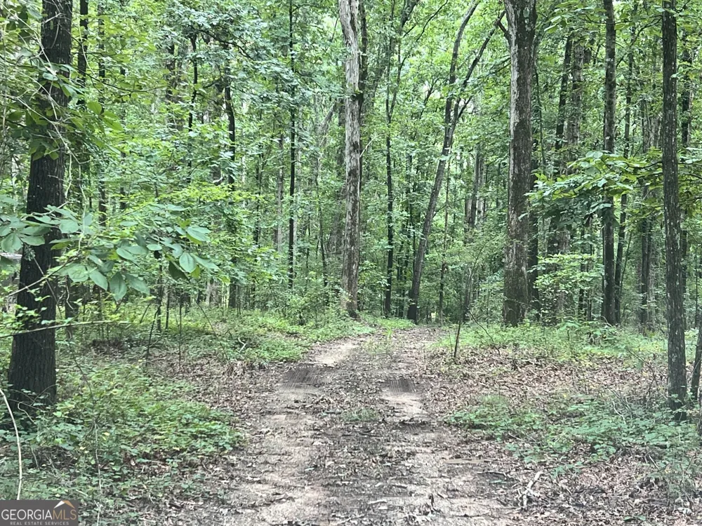 1383 Sims RD SE Winder, GA 30680