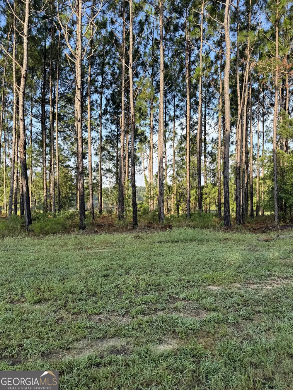 118 East Lake DR Statesboro, GA 30458
