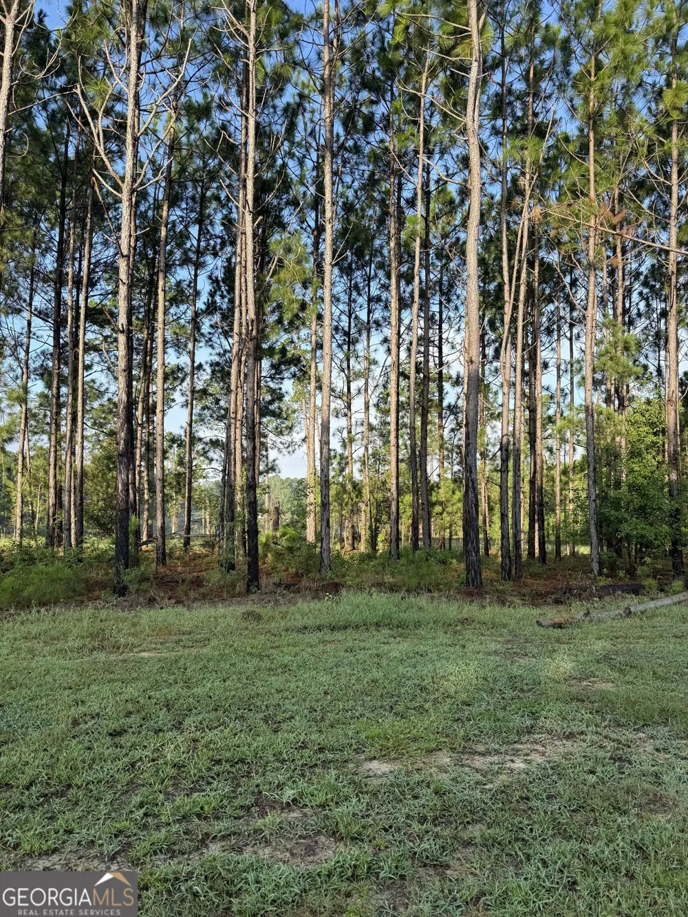 118 East Lake DR Statesboro, GA 30458