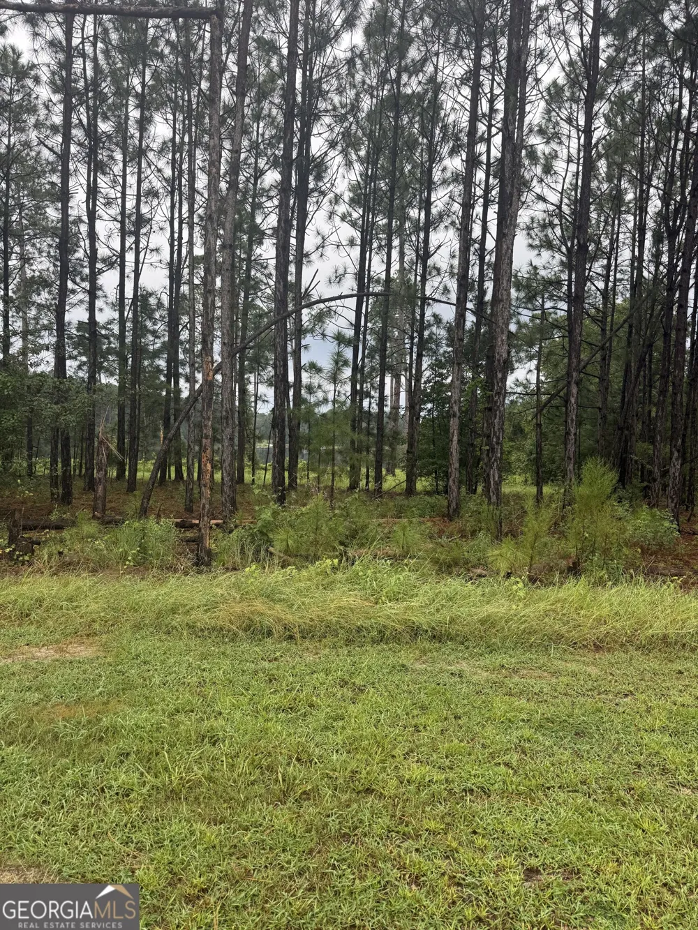 118 East Lake DR Statesboro, GA 30458