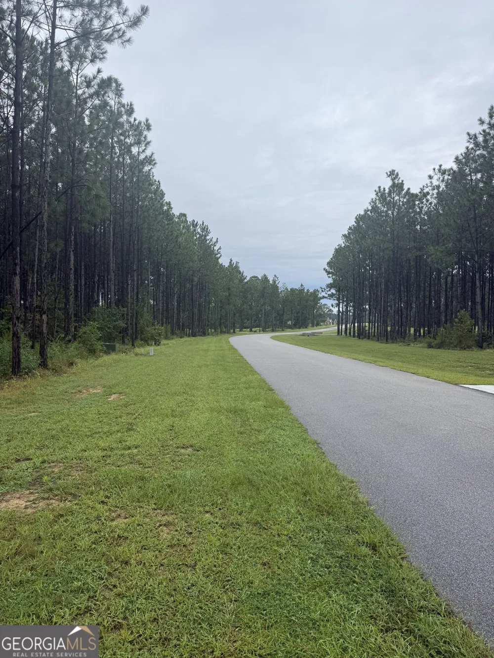 118 East Lake DR Statesboro, GA 30458
