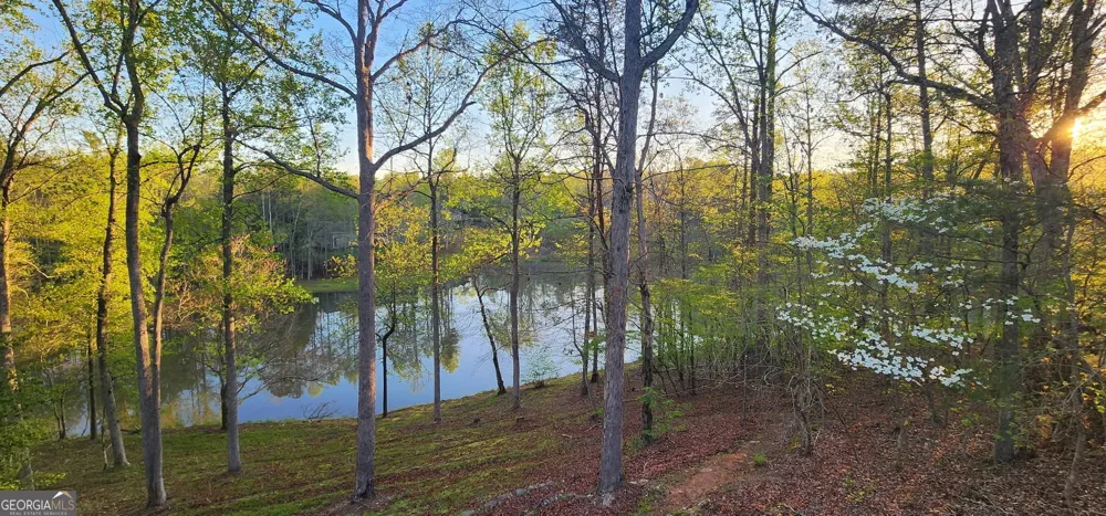 327 Kissimmee TRL Cornelia, GA 30531