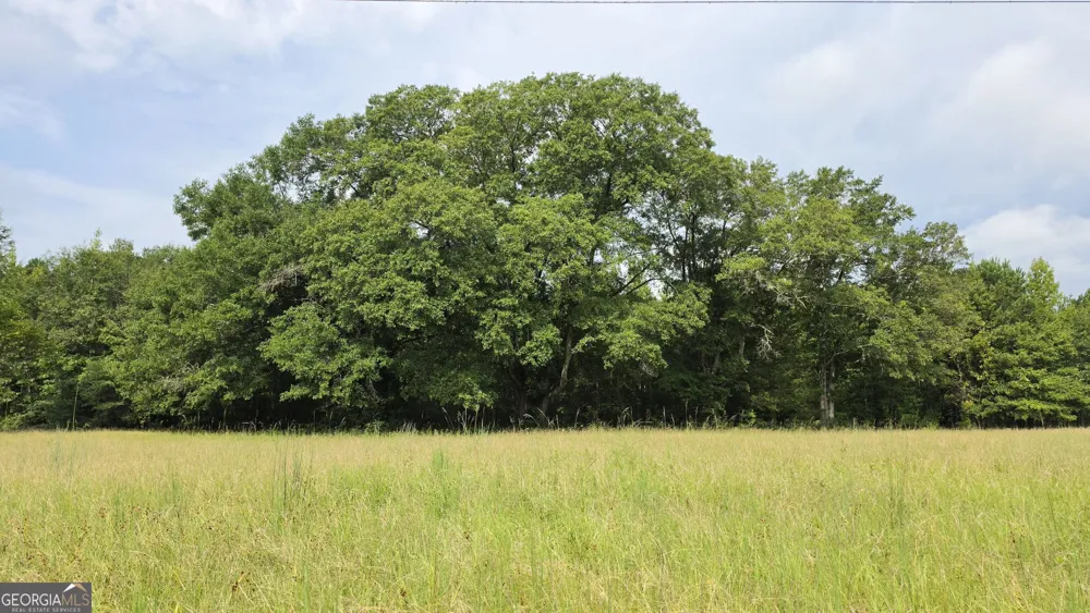 0 Alvaton Rd Gay, GA 30218