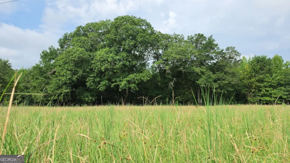 0 Alvaton Rd Gay, GA 30218