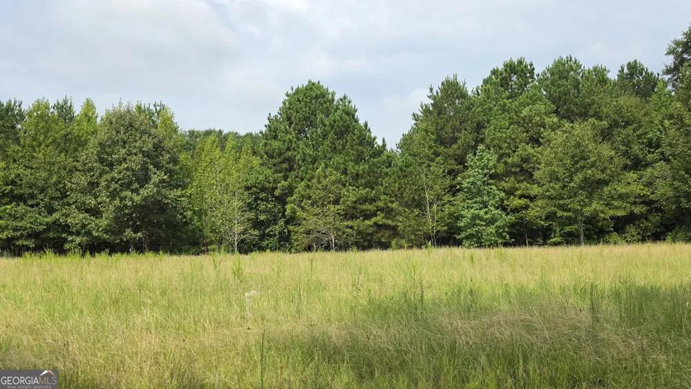 0 Alvaton Rd Gay, GA 30218