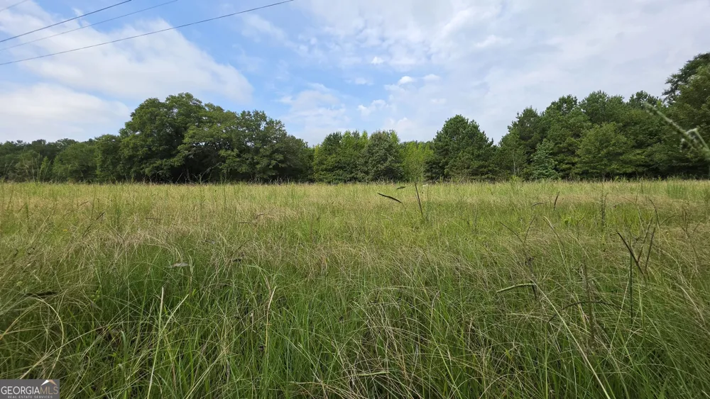 0 Alvaton Rd Gay, GA 30218