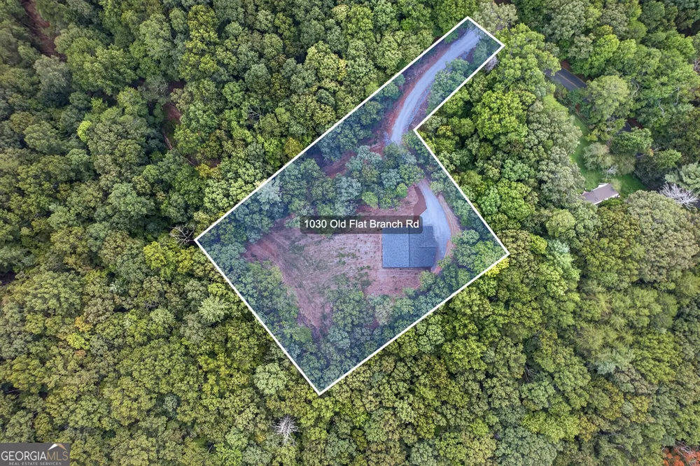 1030 Old Flat Branch RD Ellijay, GA 30540