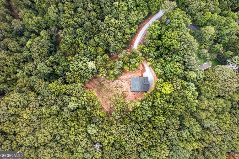 1030 Old Flat Branch RD Ellijay, GA 30540