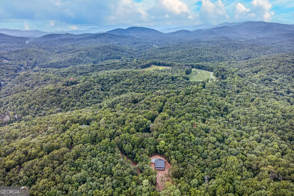 1030 Old Flat Branch RD Ellijay, GA 30540