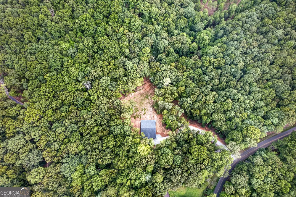 1030 Old Flat Branch RD Ellijay, GA 30540