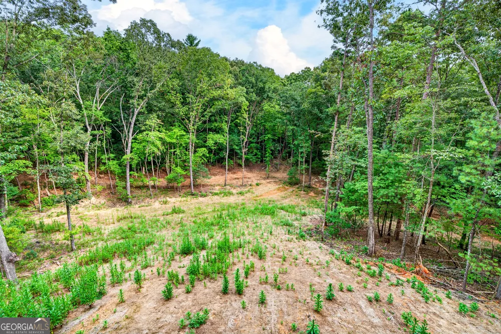 1030 Old Flat Branch RD Ellijay, GA 30540