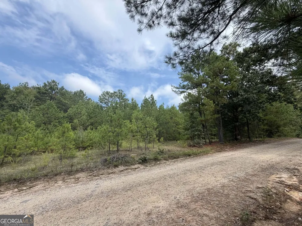 0 Smith Mill RD Monticello, GA 31064