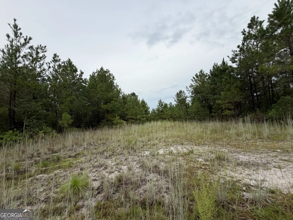 0 South River Road Waycross, GA 31503