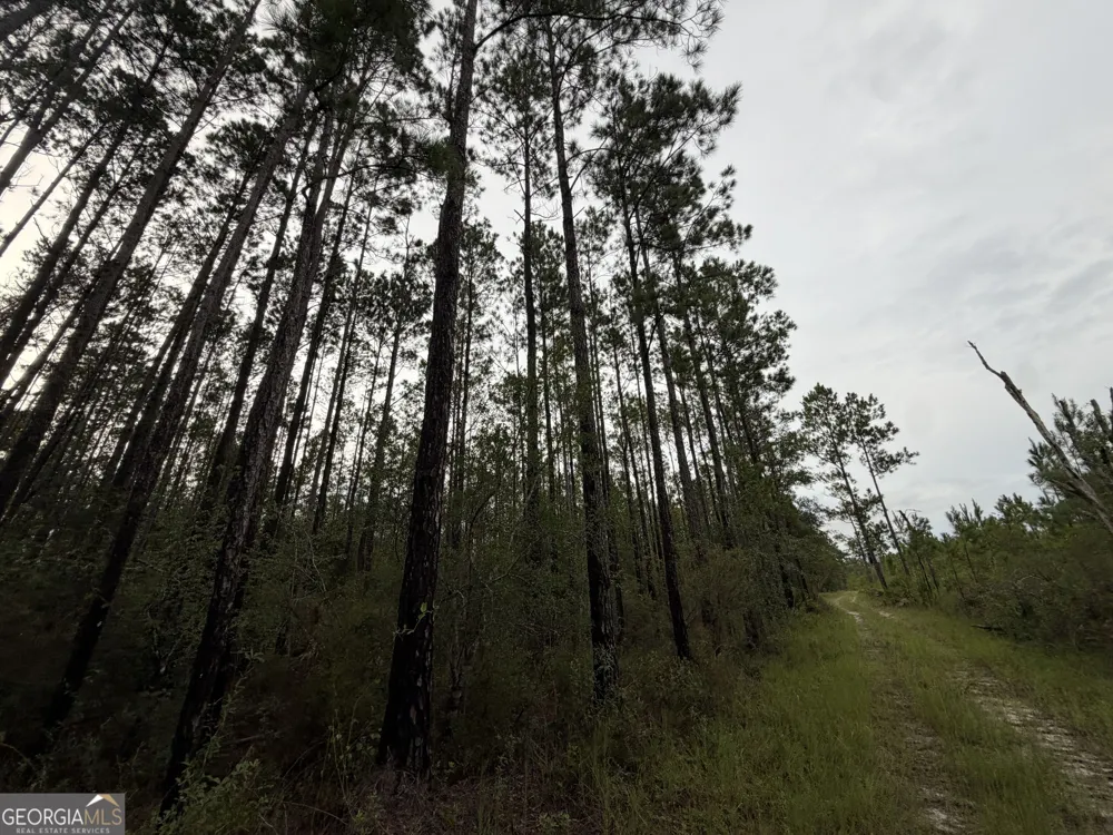 0 South River Road Waycross, GA 31503