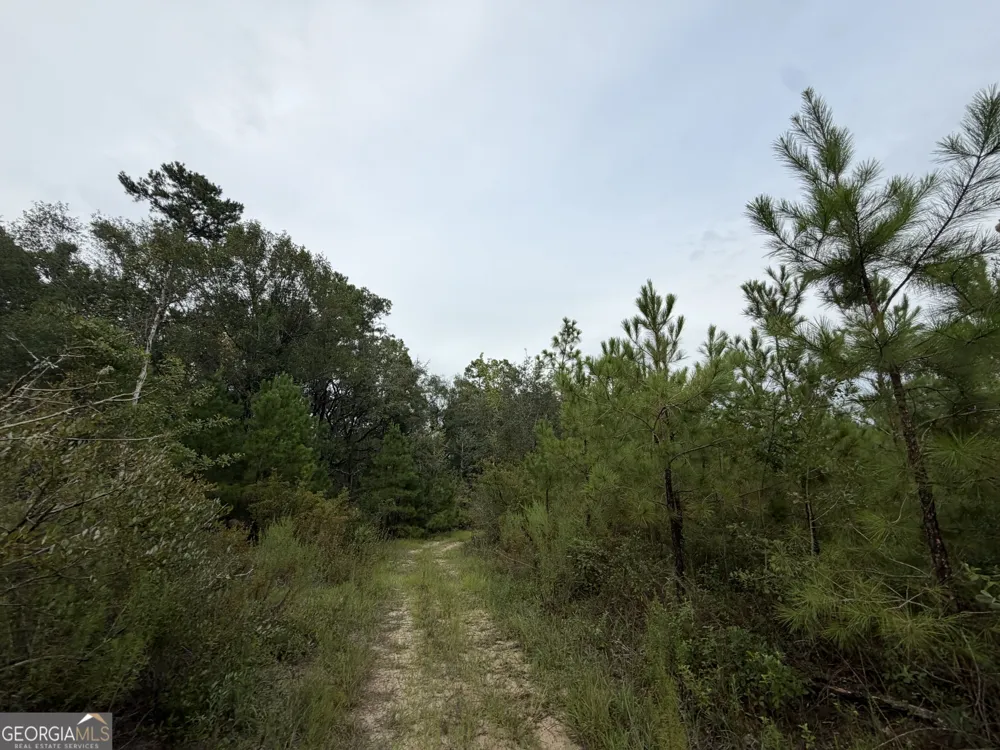 0 South River Road Waycross, GA 31503