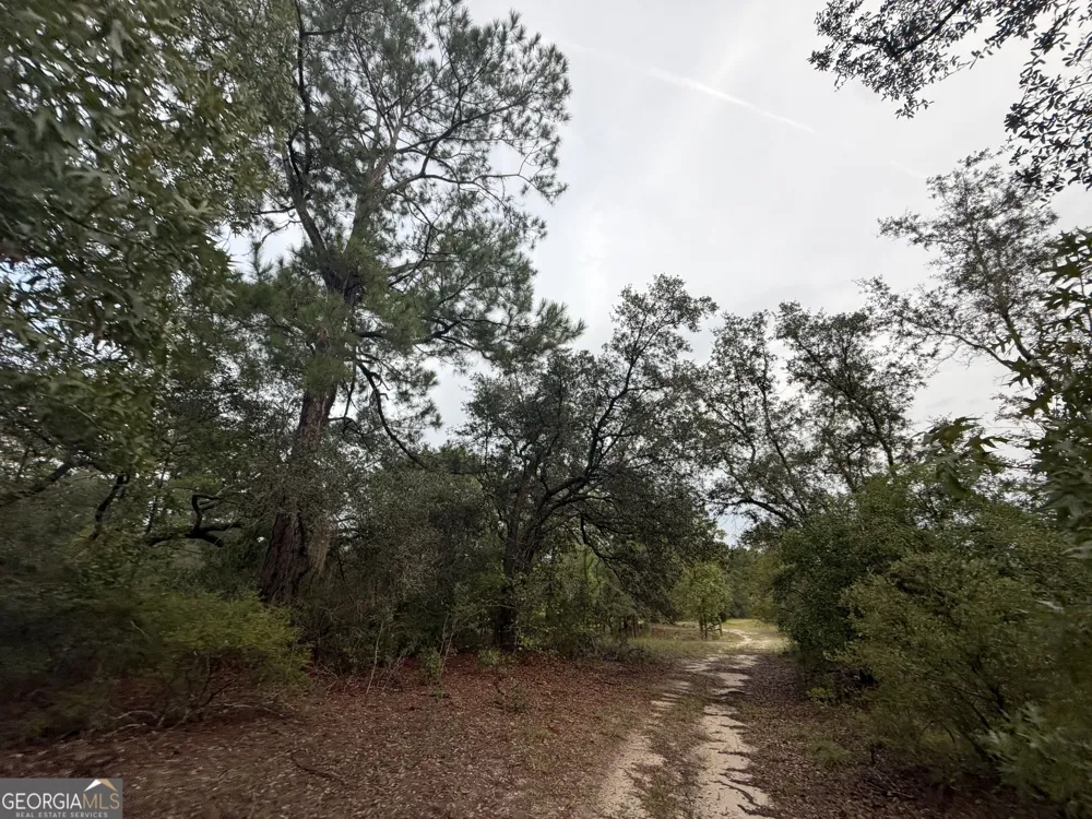 0 South River Road Waycross, GA 31503